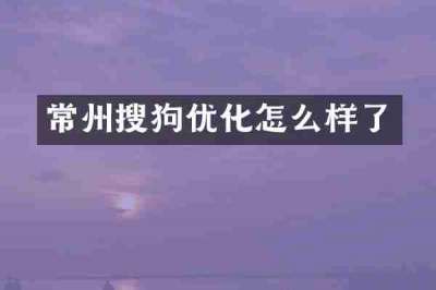 常州搜狗优化怎么样了