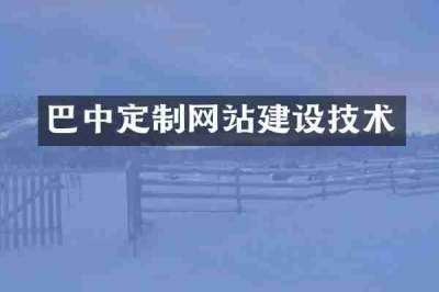 巴中定制网站建设技术