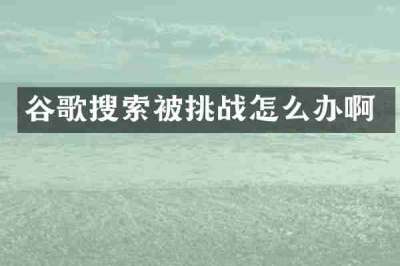 谷歌搜索被挑战怎么办啊
