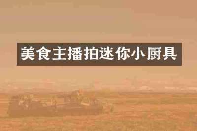 美食主播拍迷你小厨具