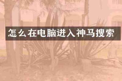怎么在电脑进入神马搜索