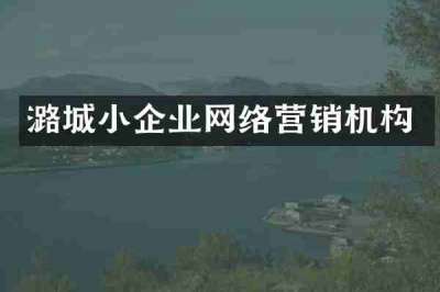 潞城小企业网络营销机构