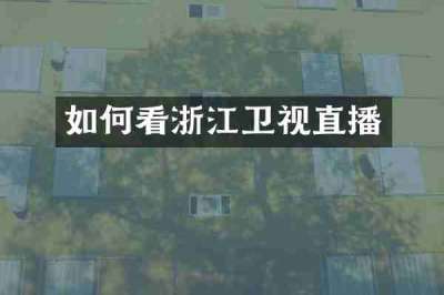 如何看浙江卫视直播