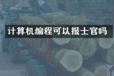 计算机编程可以报士官吗