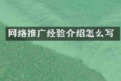 网络推广经验介绍怎么写