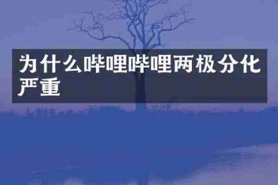 为什么哔哩哔哩两极分化严重