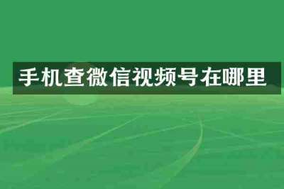 手机查微信视频号在哪里