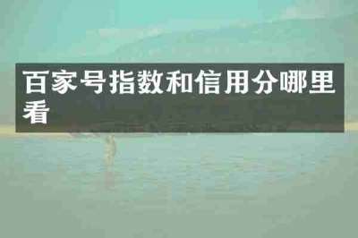 百家号指数和信用分哪里看