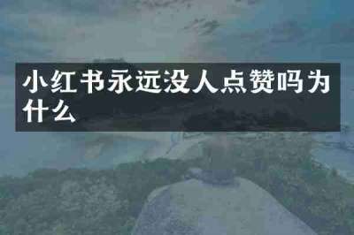 小红书永远没人点赞吗为什么