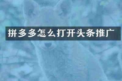 拼多多怎么打开头条推广
