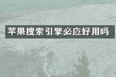 苹果搜索引擎必应好用吗