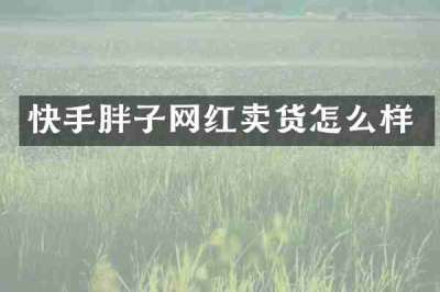 快手胖子网红卖货怎么样