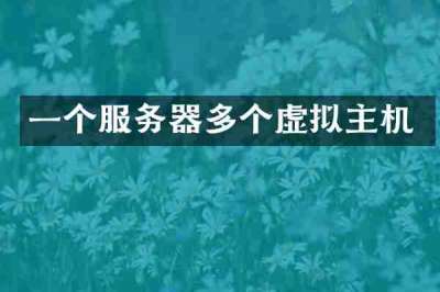 一个服务器多个虚拟主机