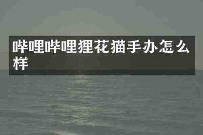 哔哩哔哩狸花猫手办怎么样