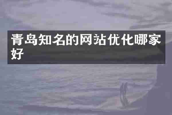 青岛知名的网站优化哪家好