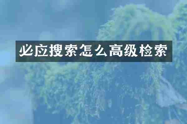必应搜索怎么高级检索