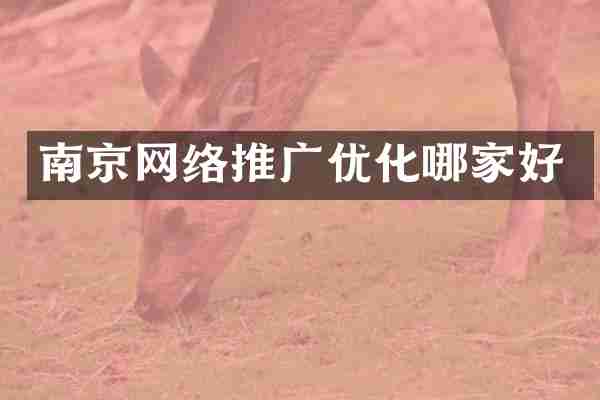 南京网络推广优化哪家好