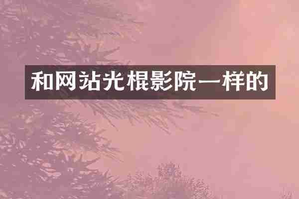 和网站光棍影院一样的