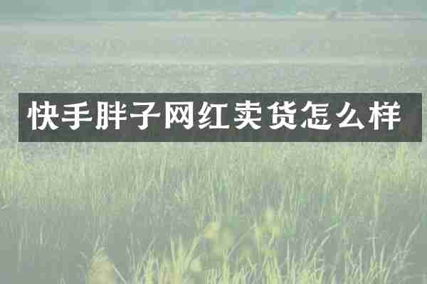 快手胖子网红卖货怎么样