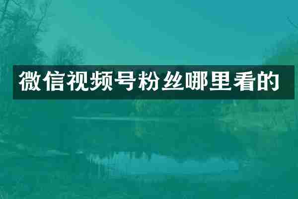 微信视频号粉丝哪里看的