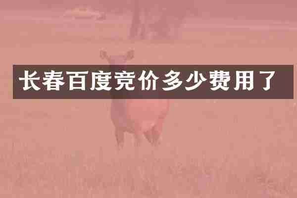 长春百度竞价多少费用了