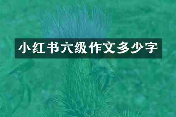 小红书六级作文多少字