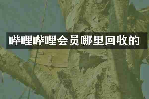 哔哩哔哩会员哪里回收的