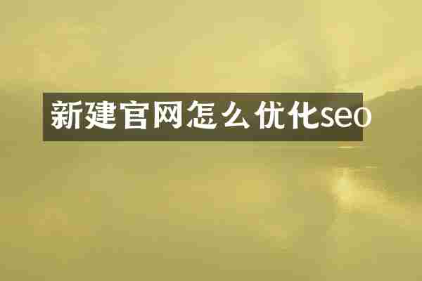 新建官网怎么优化seo