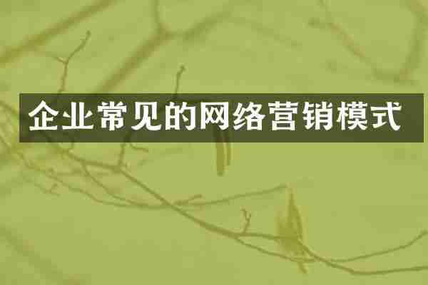 企业常见的网络营销模式