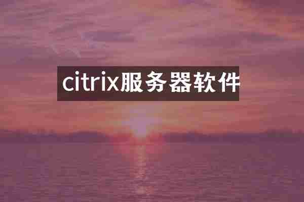 citrix服务器软件