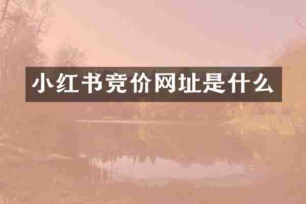 小红书竞价网址是什么