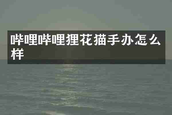 哔哩哔哩狸花猫手办怎么样
