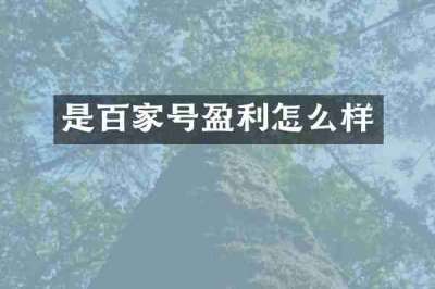 是百家号盈利怎么样