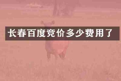 长春百度竞价多少费用了