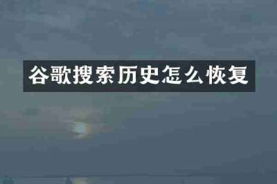 谷歌搜索历史怎么恢复