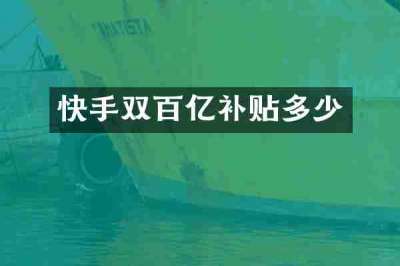 快手双百亿补贴多少