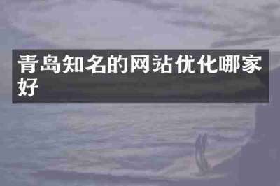青岛知名的网站优化哪家好