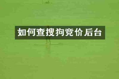 如何查搜狗竞价后台
