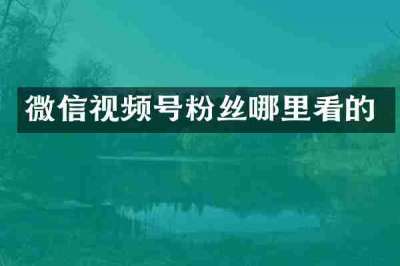 微信视频号粉丝哪里看的