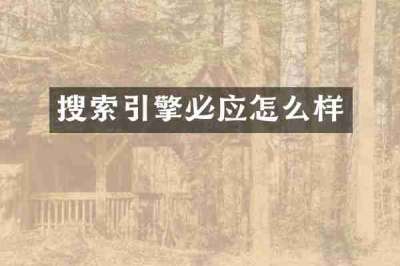 搜索引擎必应怎么样