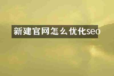 新建官网怎么优化seo