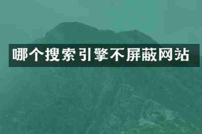 哪个搜索引擎不屏蔽网站