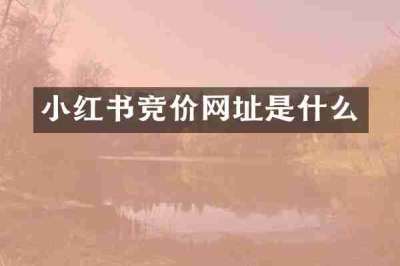小红书竞价网址是什么