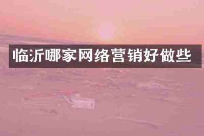 临沂哪家网络营销好做些