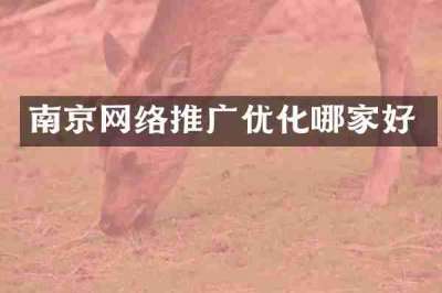 南京网络推广优化哪家好