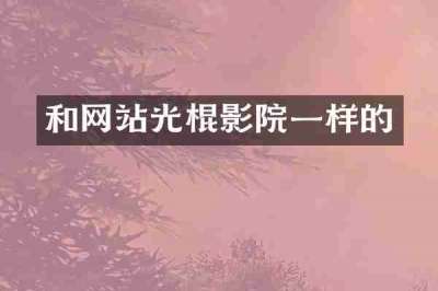 和网站光棍影院一样的