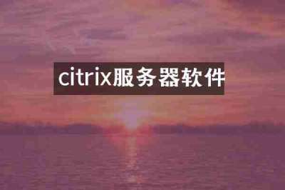 citrix服务器软件