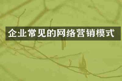 企业常见的网络营销模式