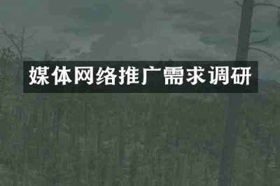 媒体网络推广需求调研
