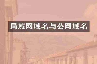 局域网域名与公网域名